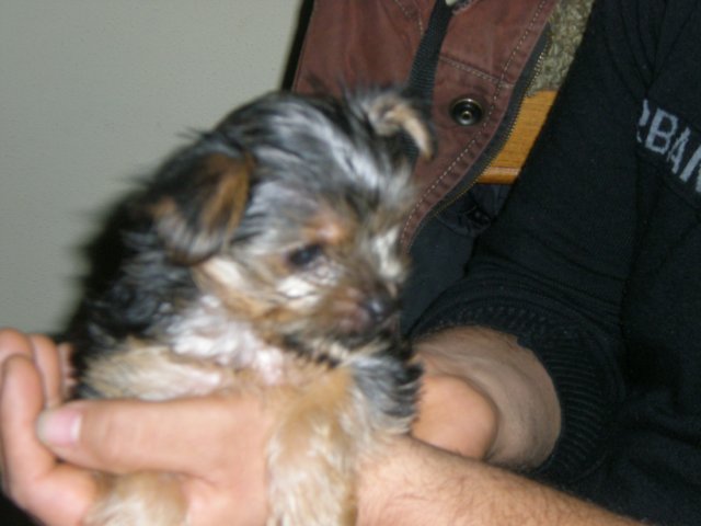 dscn5761.jpg