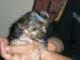 dscn5761_small.jpg