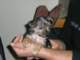 dscn5762_small.jpg