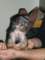 dscn5763_small.jpg