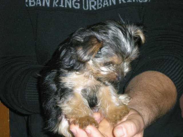 dscn5764.jpg