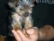 dscn5765_small.jpg