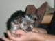 dscn5766_small.jpg