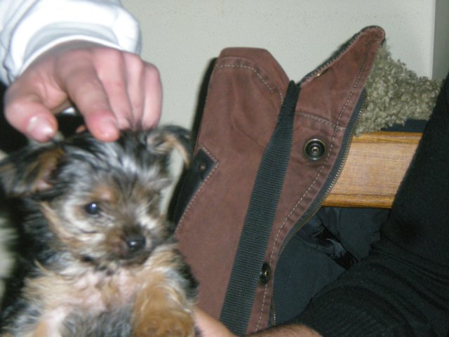 dscn5767.jpg
