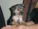 dscn5768_small.jpg