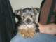 dscn5769_small.jpg