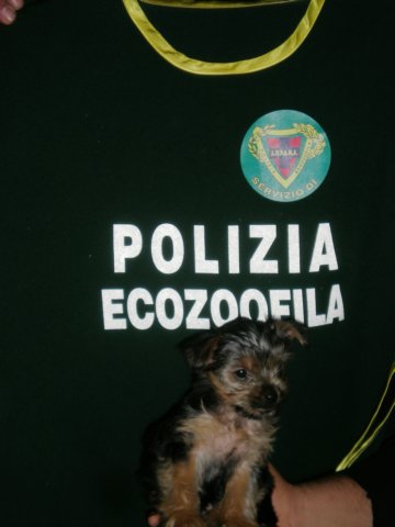 dscn5770.jpg