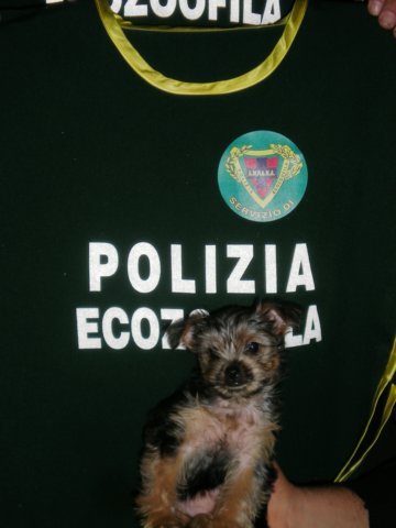 dscn5772.jpg